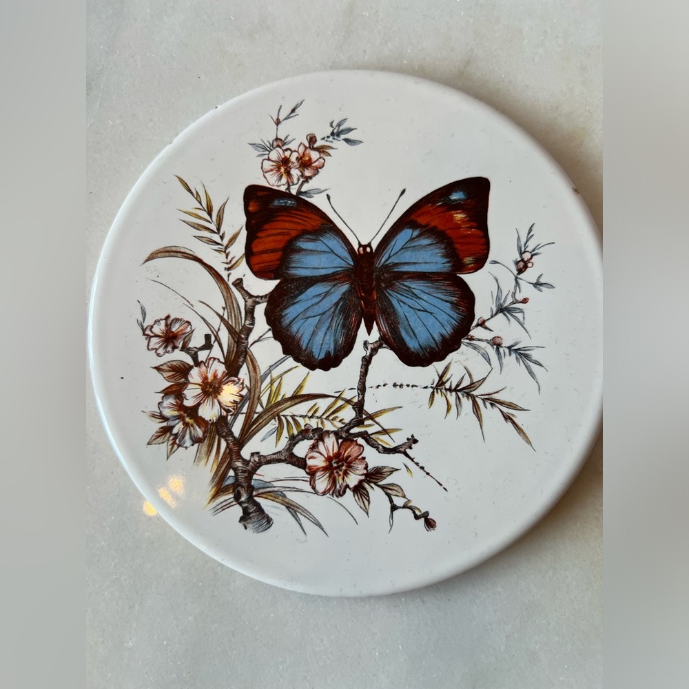 Vintage Butterfly Trivet / Wall Hanging